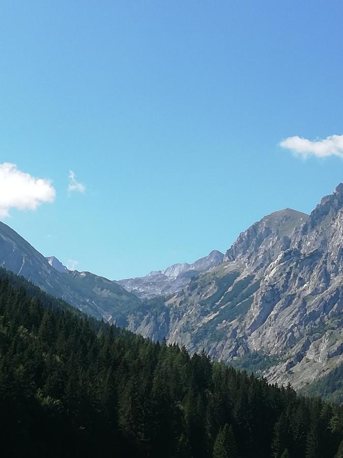 Fruehstueckspension Seeberghof Seewiesen Exterior foto