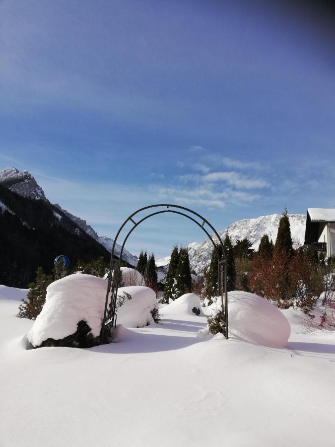 Fruehstueckspension Seeberghof Seewiesen Exterior foto